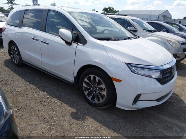 2024 HONDA ODYSSEY EX-L 1