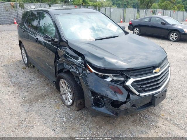 2019 CHEVROLET EQUINOX LS - 1
