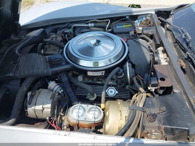 1981 CHEVROLET CORVETTE 10