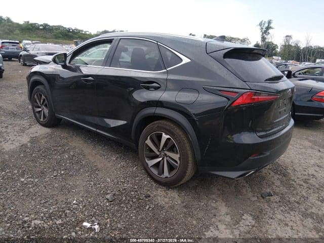 2019 LEXUS NX 300 3
