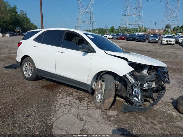 2019 CHEVROLET EQUINOX LS 1