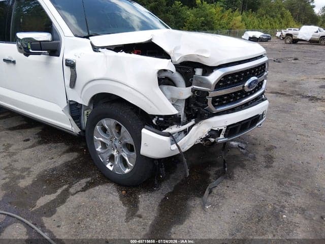 2022 FORD F-150 PLATINUM 19