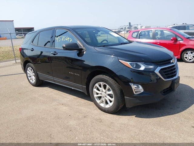 2019 CHEVROLET EQUINOX LS 1