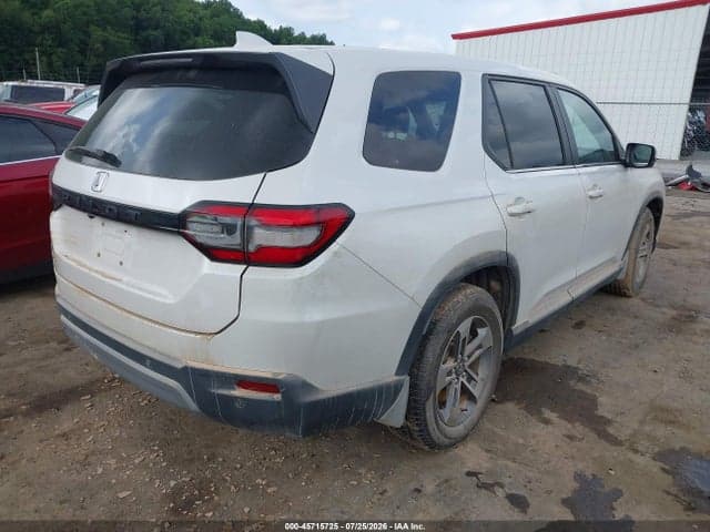 2025 HONDA PILOT EX-L 4
