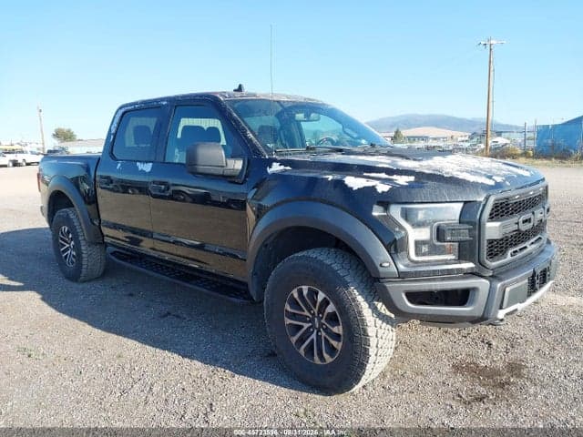 2019 FORD F-150 RAPTOR 1
