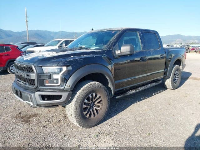 2019 FORD F-150 RAPTOR 2