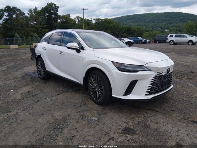 2025 LEXUS RX 350 LUXURY 1