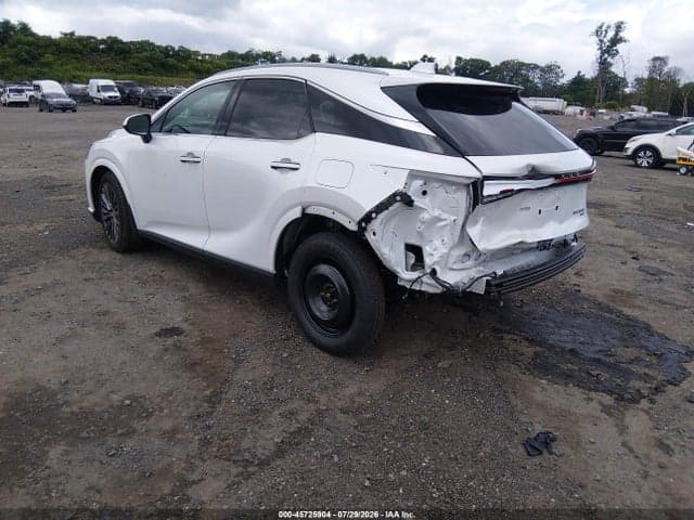 2025 LEXUS RX 350 LUXURY 3