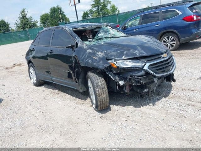 2019 CHEVROLET EQUINOX LS - 1