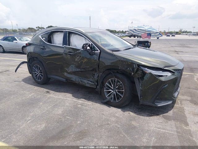 2025 LEXUS NX 250 - 1