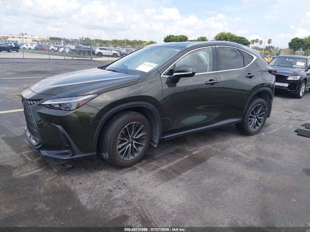 2025 LEXUS NX 250 2