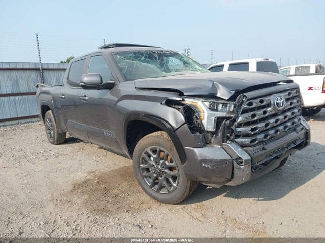 2025 TOYOTA TUNDRA PLATINUM - 1