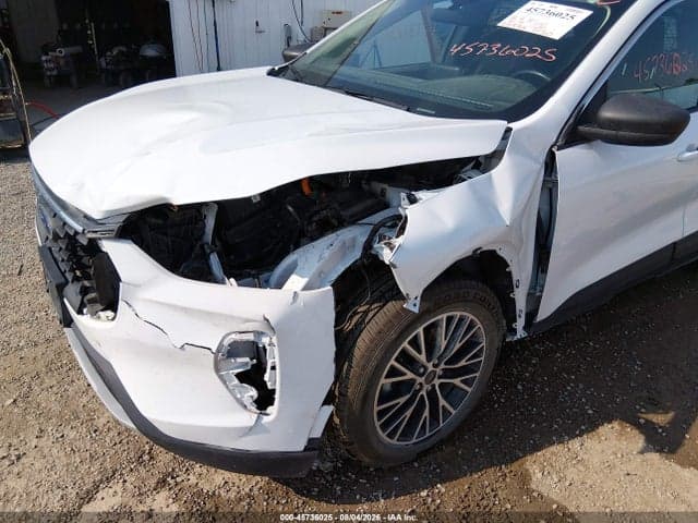 2023 FORD ESCAPE ACTIVE 6