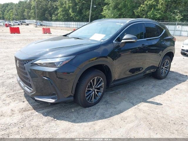 2024 LEXUS NX 350H PREMIUM 2