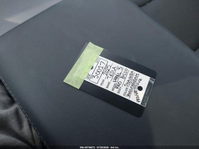 2025 TESLA MODEL 3 LONG RANGE REAR-WHEEL DRIVE/STANDARD REAR-WHEEL DRIVE 10