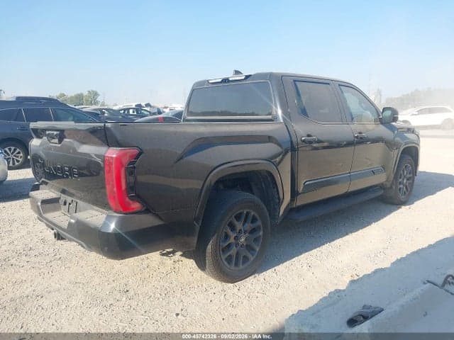 2025 TOYOTA TUNDRA PLATINUM 4