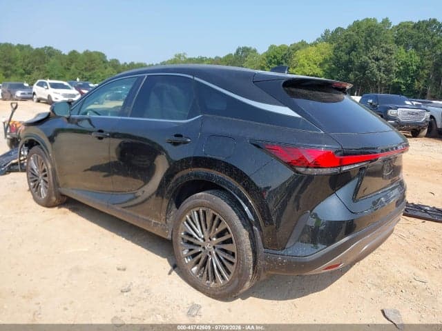 2025 LEXUS RX 350 LUXURY 3
