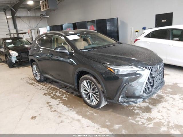 2022 LEXUS NX 350H LUXURY 1