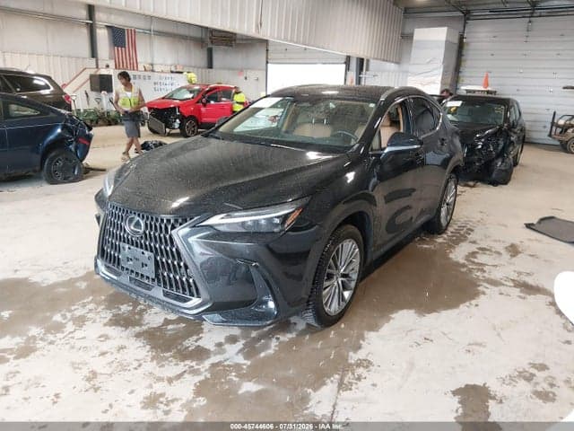 2022 LEXUS NX 350H LUXURY 2