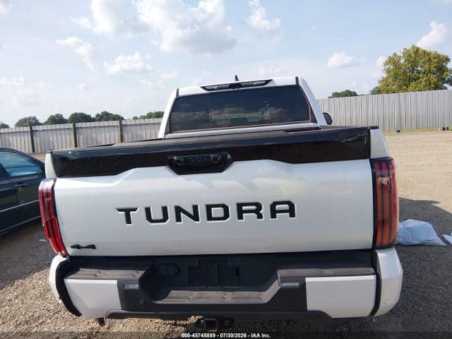 2025 TOYOTA TUNDRA PLATINUM 16