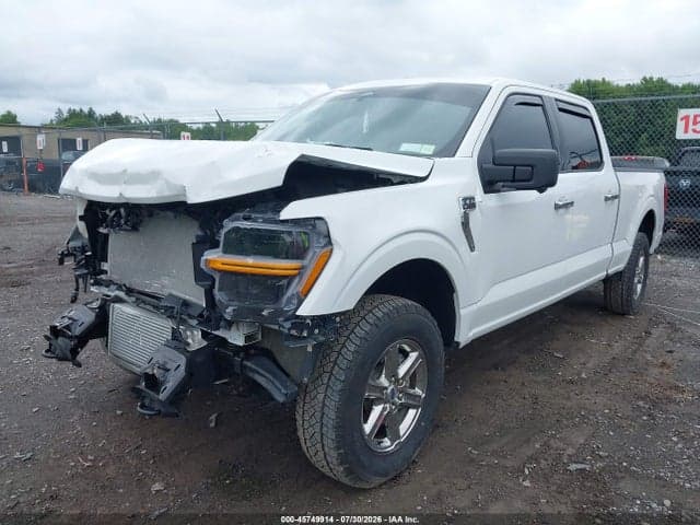 2024 FORD F-150 XLT 2