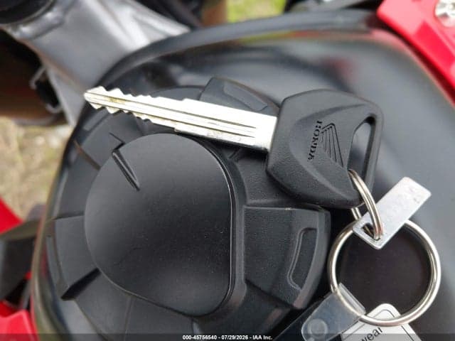 2023 HONDA CRF300 LA 11