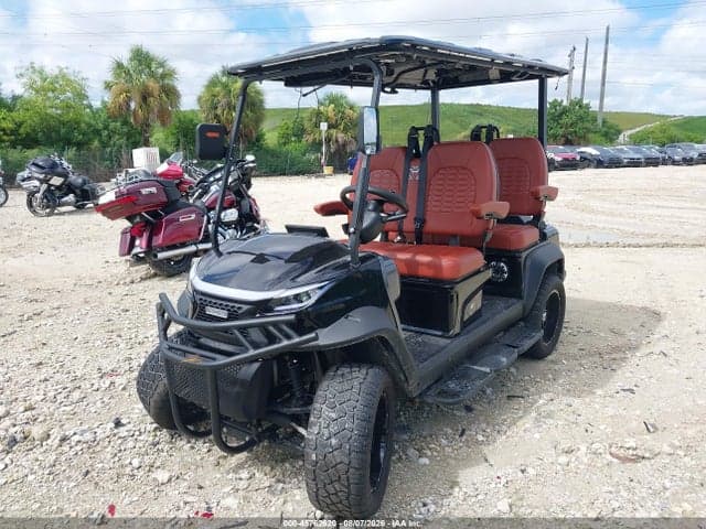 2025 VNEV PILLARD GOLF CART 2