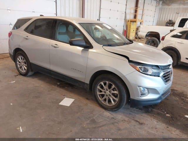 2019 CHEVROLET EQUINOX LS - 1