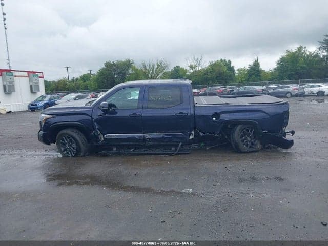 2025 TOYOTA TUNDRA PLATINUM 14