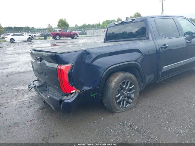 2025 TOYOTA TUNDRA PLATINUM 20