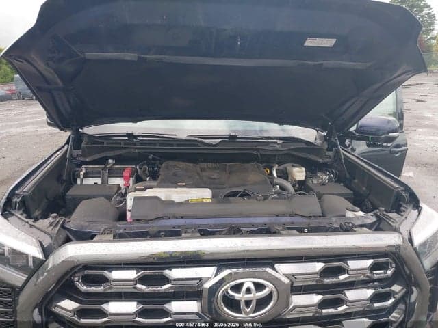 2025 TOYOTA TUNDRA PLATINUM 10