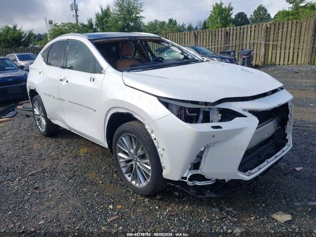 2025 LEXUS NX 350 LUXURY - 1