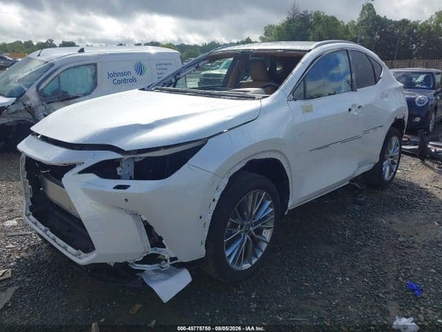 2025 LEXUS NX 350 LUXURY 2