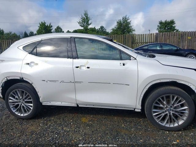2025 LEXUS NX 350 LUXURY 14