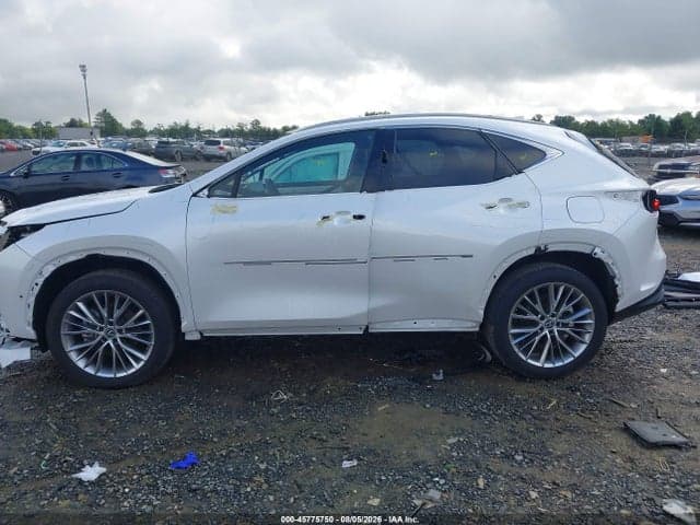 2025 LEXUS NX 350 LUXURY 15