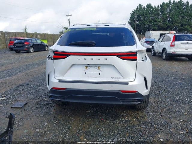 2025 LEXUS NX 350 LUXURY 17