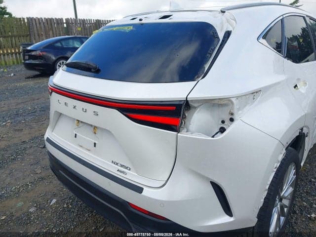 2025 LEXUS NX 350 LUXURY 18
