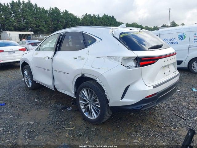 2025 LEXUS NX 350 LUXURY 3