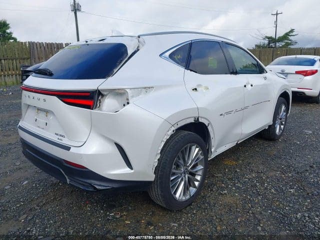 2025 LEXUS NX 350 LUXURY 4