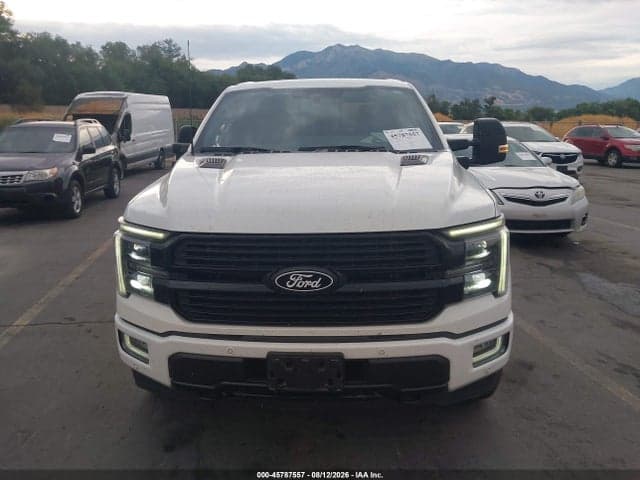 2024 FORD F-150 PLATINUM 12