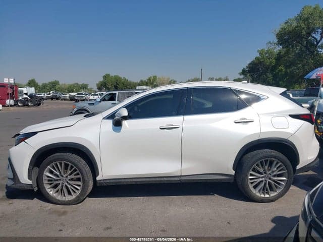 2025 LEXUS NX 350 PREMIUM 13