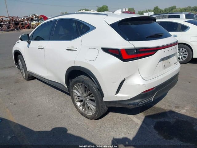 2025 LEXUS NX 350 PREMIUM 3