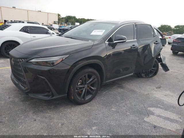 2025 LEXUS NX 450H+ LUXURY 2