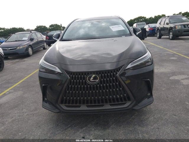2025 LEXUS NX 450H+ LUXURY 11