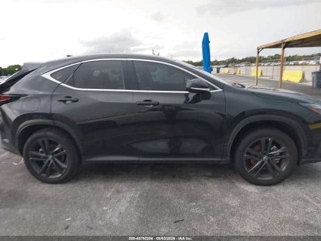2025 LEXUS NX 450H+ LUXURY 12