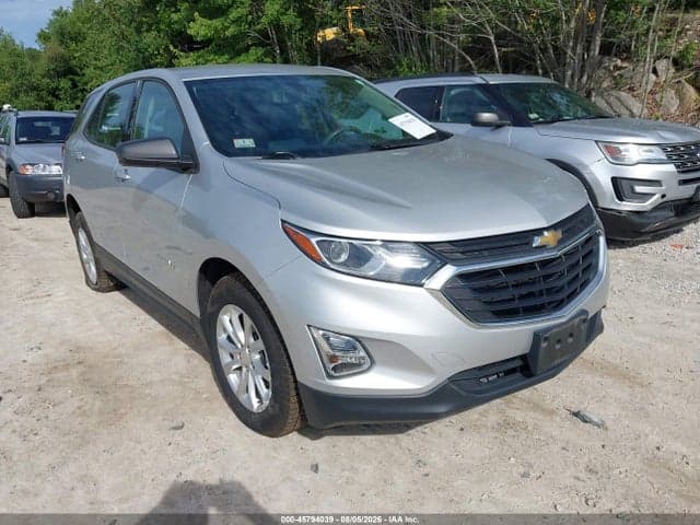 2019 CHEVROLET EQUINOX LS - 1