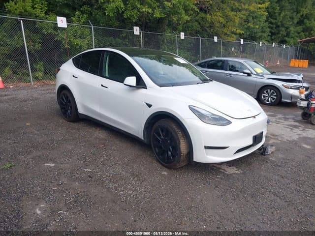 2023 TESLA MODEL Y RWD