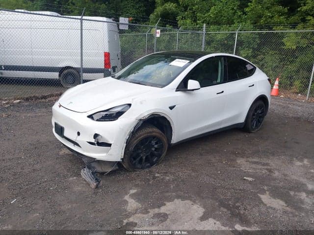 2023 TESLA MODEL Y RWD 2