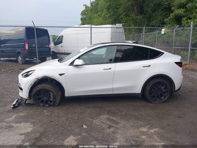 2023 TESLA MODEL Y RWD 12