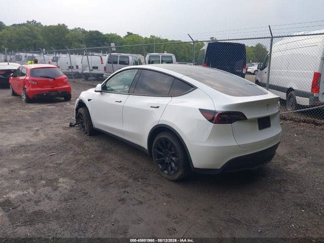 2023 TESLA MODEL Y RWD 3